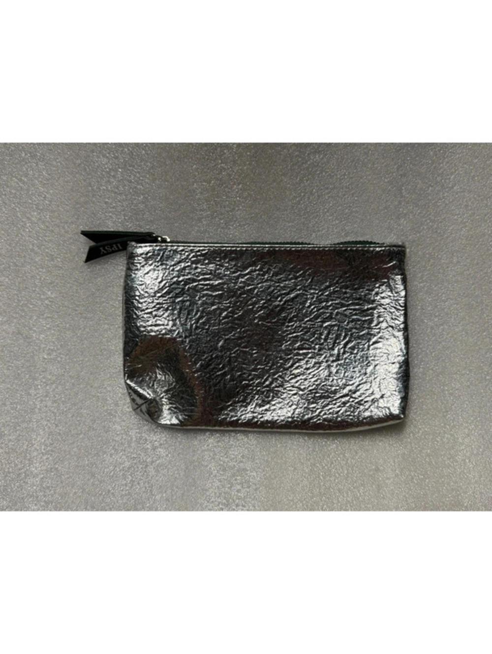 Ipsy Silver Makeup Bag